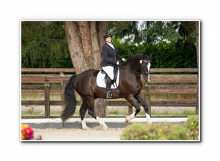 2024 Bello Acres Spring Fling I and II Sign Up
