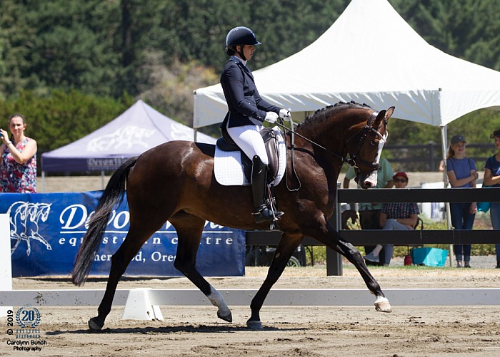 2019 Dressage At DevonWood