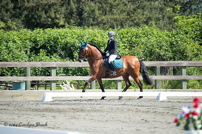 2024 Bello Acers May Show