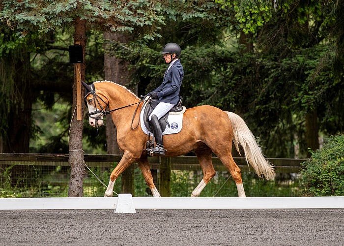 2024 WEC June 3 Day Dressage
