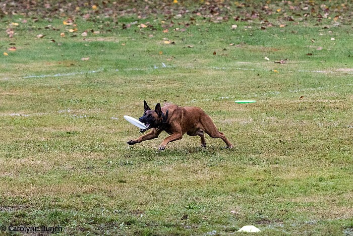 EDD Points Only October